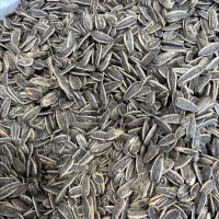تخمه s400 ایرانی