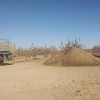 کود گوسفندی درجه یک یک|خدمات باغبانی و درختکاری|سیرجان, |دیوار