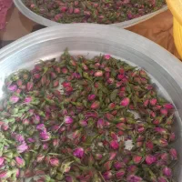 غنچه گل محمدی و پرگ گل محمدی ونعنا خشک