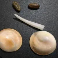 مهره های قدیمی کارکرده با همراهی دعا و سرکتاب|کلکسیون اشیاء عتیقه|مشهد, صیاد شیرازی|دیوار