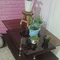 فرش (۱۲ و ۹ متری) با میز جلو مبلی|فرش|رشت, آزادگان|دیوار