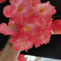 درختچه گل تزیینی|گل مصنوعی|بهارستان, |دیوار