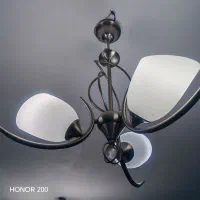 لوسترسه شاخه|لوستر و چراغ آویز|بندر ماهشهر, |دیوار