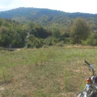 فروش زمین جنگلی و باغی با ویو عالی|فروش زمین و ملک کلنگی|بهشهر, |دیوار