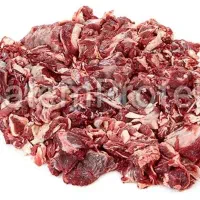 غذای حیوان
