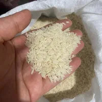 فروش برنج هاشمی
