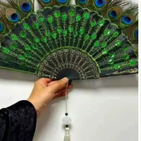 پر طاووس طبیعی|صنایع دستی و سایر لوازم تزئینی|بردسکن, |دیوار