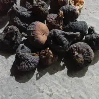 کشمش مویز انجیر ضایعات|خوردنی و آشامیدنی|مرودشت, فاز دوم شهرک فرهنگیان|دیوار