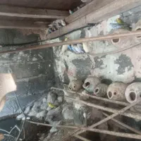 مرغ عشق