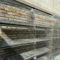 قفس غلامی بافت قدیم هستن سایز بزرگ ۶۴×۴۰|لوازم جانبی حیوانات|اهواز, منبع اب|دیوار