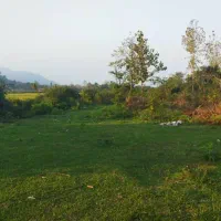 معاوضه زمین جاده ماسوله با خونه|فروش زمین و ملک کلنگی|ماکلوان, |دیوار