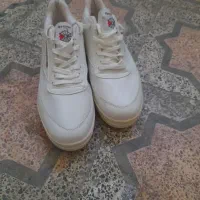 کتونی اسپرت reebok آکبند و نو|کیف، کفش، کمربند|لنگرود, |دیوار