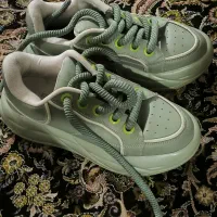 کفش|کیف، کفش، کمربند|یاسوج, |دیوار