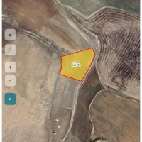 زمین با کاربری باغ فروش و یا معاوضه با خودرو|فروش زمین و ملک کلنگی|ایوان, |دیوار