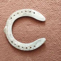 نعل های زیر پای اسب رفته|اسب و تجهیزات اسبسواری|گنبد کاووس, |دیوار