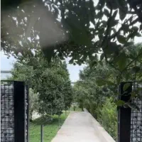 اجاره اپارتمان ویلا ۱۵۰ متری ۳ خواب