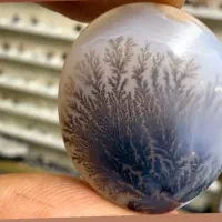 سنگ شجر تک درخت