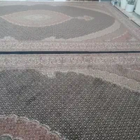 جفت ۱۲ متری سالم پرگوشت در حد نو