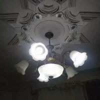 لوستر 5گل سالم سالم رنگ سفید|لوستر و چراغ آویز|رشت, یخسازی|دیوار