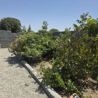 باغچه-کهن-سال-و-قدیمی