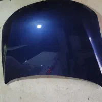 کاپوت ساینا