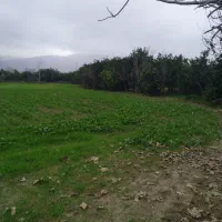 زمین-کشاورزی