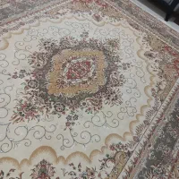 فرش 12متری کاملاسالم ودرحدنو|فرش|گرگان, |دیوار