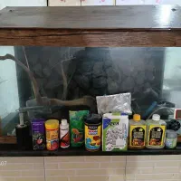 آکواریوم|ماهی|اهواز, پردیس دو|دیوار