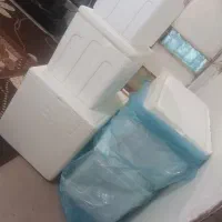 چوب پنبه