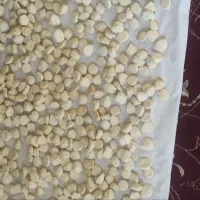 کشک تازه و خشک