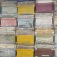 کندو خالی زنبور عسل