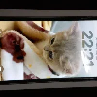 ایفون ۱۱