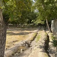 باغ در منطقه خوش آب و هوا باویل|فروش دفتر صنعتی، کشاورزی، تجاری|اسکو, |دیوار