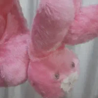 گوشگیر زیبا|صنایع دستی و سایر لوازم تزئینی|گلبهار, شهر جدید گلبهار|دیوار