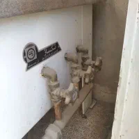 اجاق‌گاز بزرگ ۳ شعله|اجاق گاز و لوازم برقی پخت‌وپز|رباط‌کریم, رباط‌کریم|دیوار