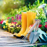 باغبانی درخت کاری وهرس درخت در فردیس