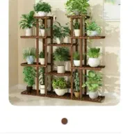 استند گل طبیعی