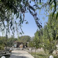 باغچه با درختان مثمر|فروش دفتر صنعتی، کشاورزی، تجاری|محمدشهر, محمدشهر|دیوار