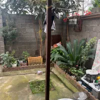 سوییت واحد صومعه فومن تولمشهر سنددار