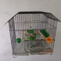 قفس‌.|لوازم جانبی حیوانات|شیراز, گود خزینه|دیوار
