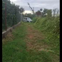 فروش زمین کشاورزی جنب آزادراه قائمشهر ساری|فروش دفتر صنعتی، کشاورزی، تجاری|قائم‌شهر, |دیوار