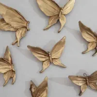 پروانه دیوار کوب