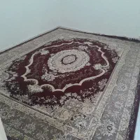 فرش دسته دوم|فرش|کرمانشاه, |دیوار