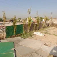 زمین زراعی مناسب باغچه