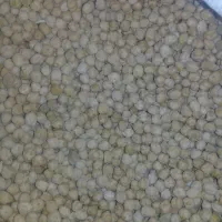 نخود درجه یک