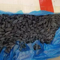 مویز و..خشکباری