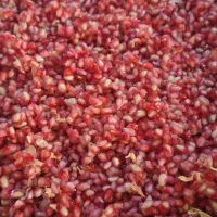 رب انار ترش جنگلی|خوردنی و آشامیدنی|رشت, کوی مهر|دیوار