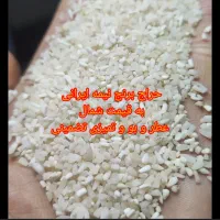 برنج نیمه طارم اصل عطر و بوی تضمینی زیر قیمت بازار