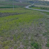 زمین زراعی دیم بر جاده آسفالت
