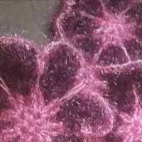 اسکاج پخش عمده